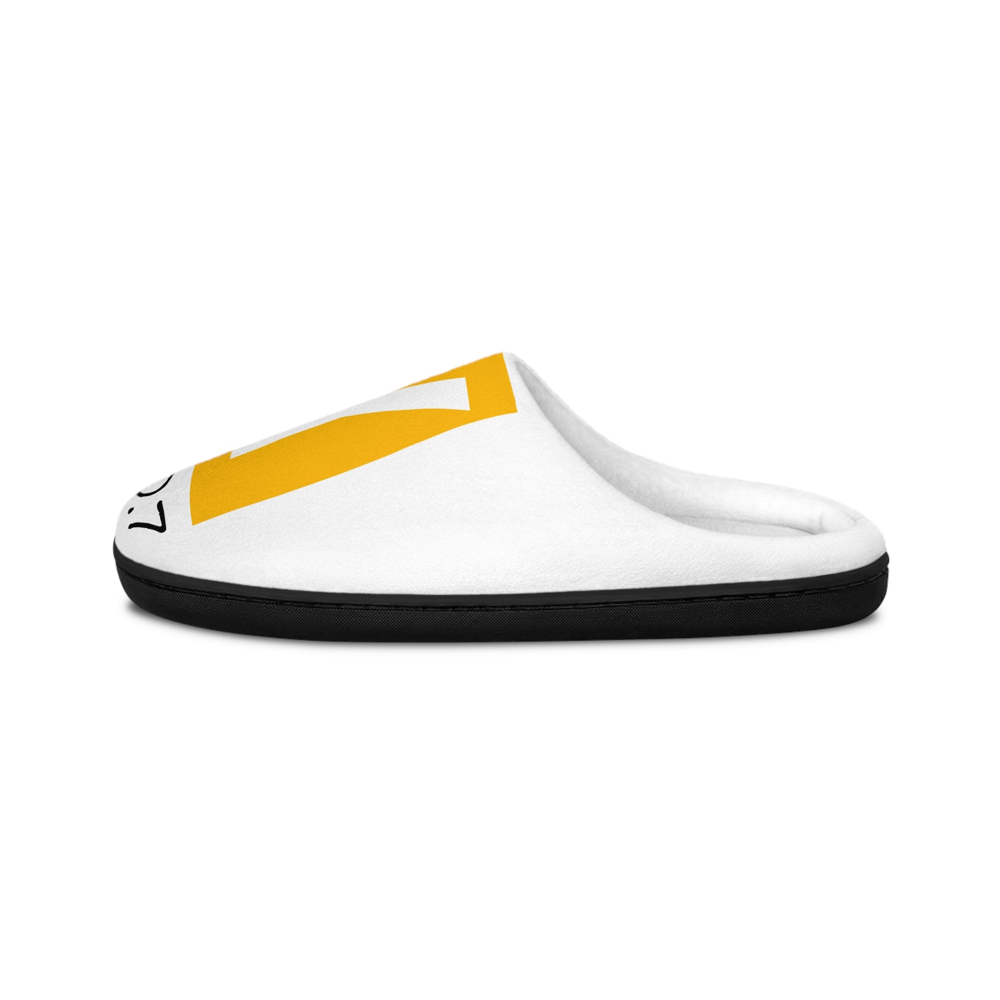 Original "Raccoon" Edition "Garfield" SmooveGuy Slippers
