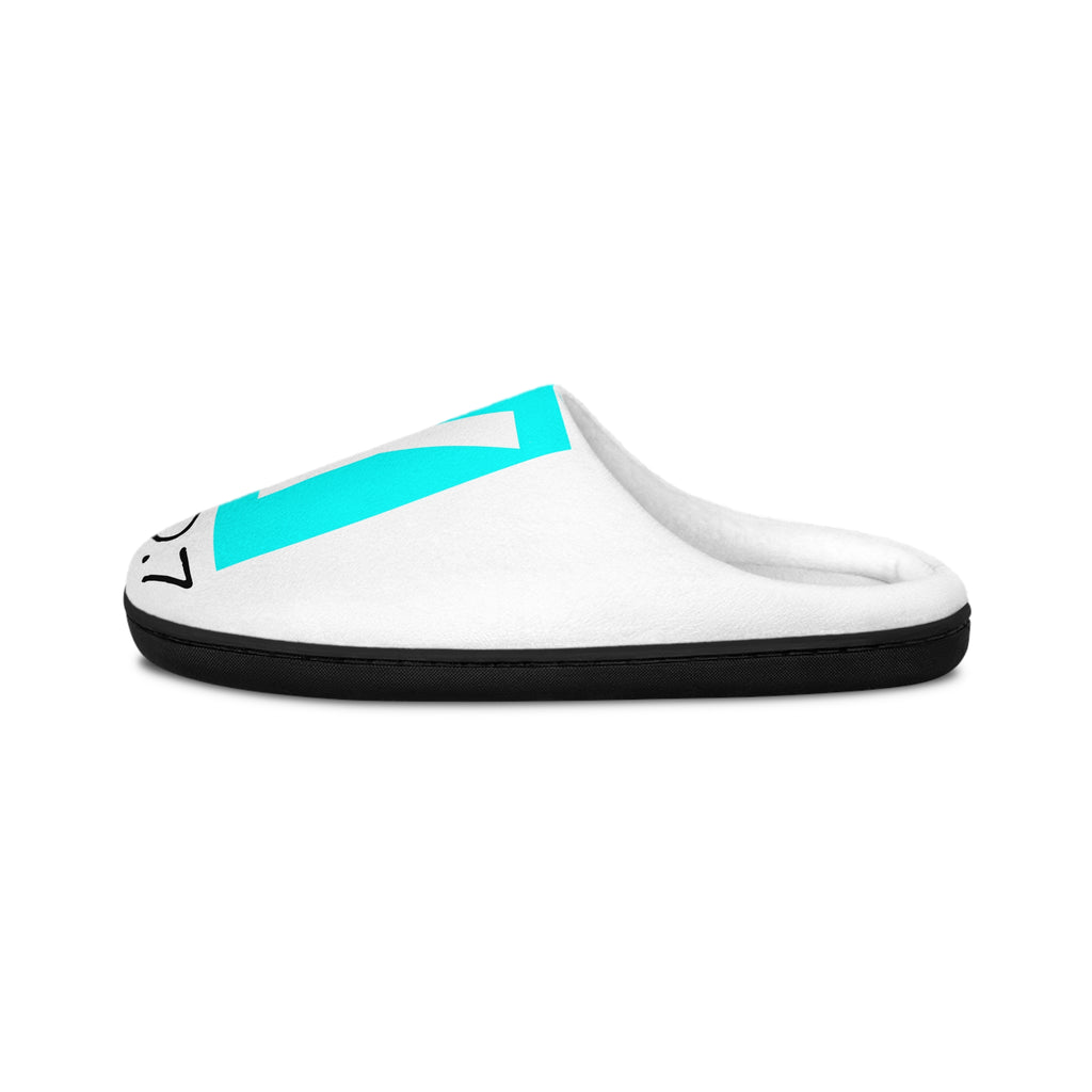 Original "Raccoon" Edition "Tropical Typhoon" SeooxyGirl Slippers
