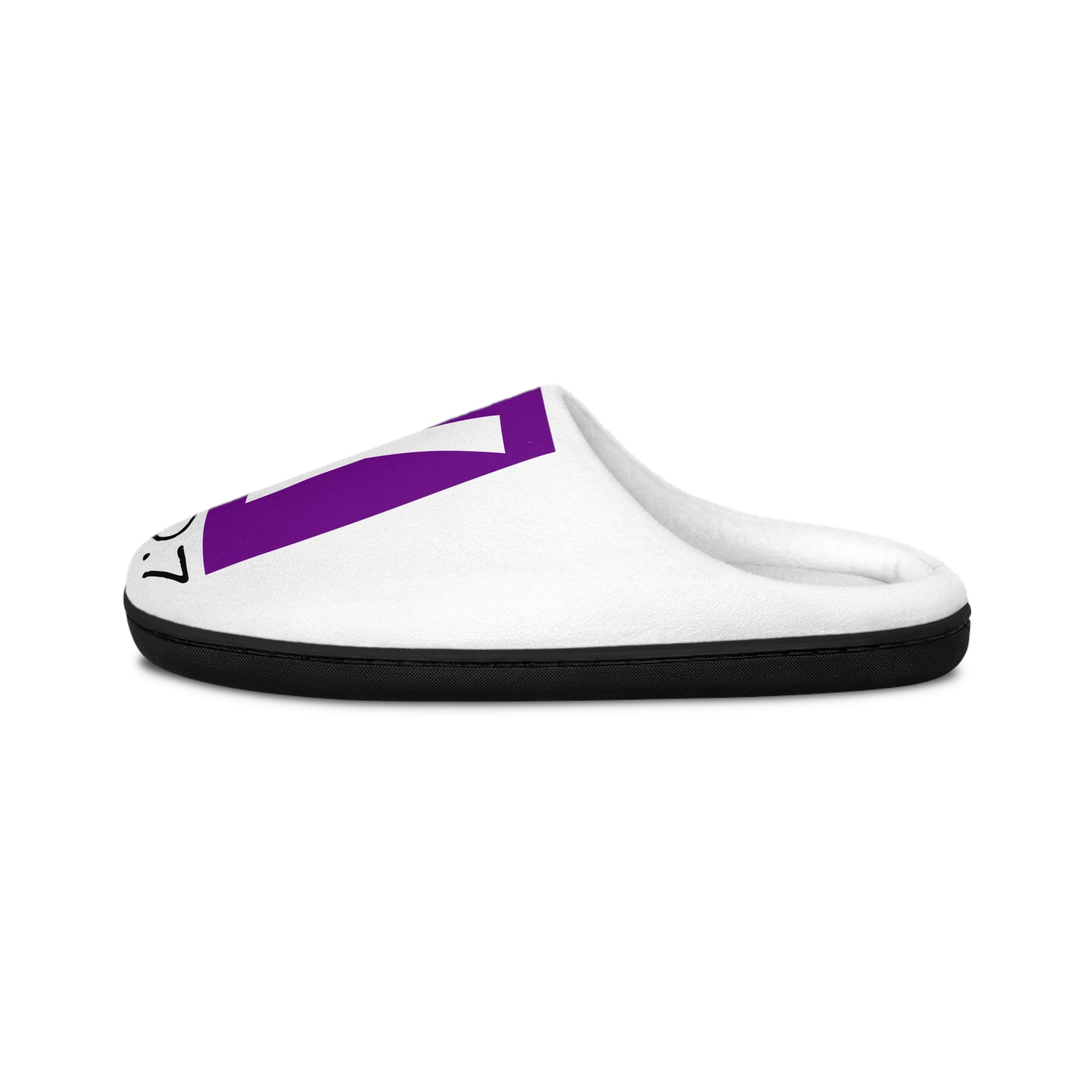 Original "Raccoon" Edition "Grape Soda" SeooxyGirl Slippers