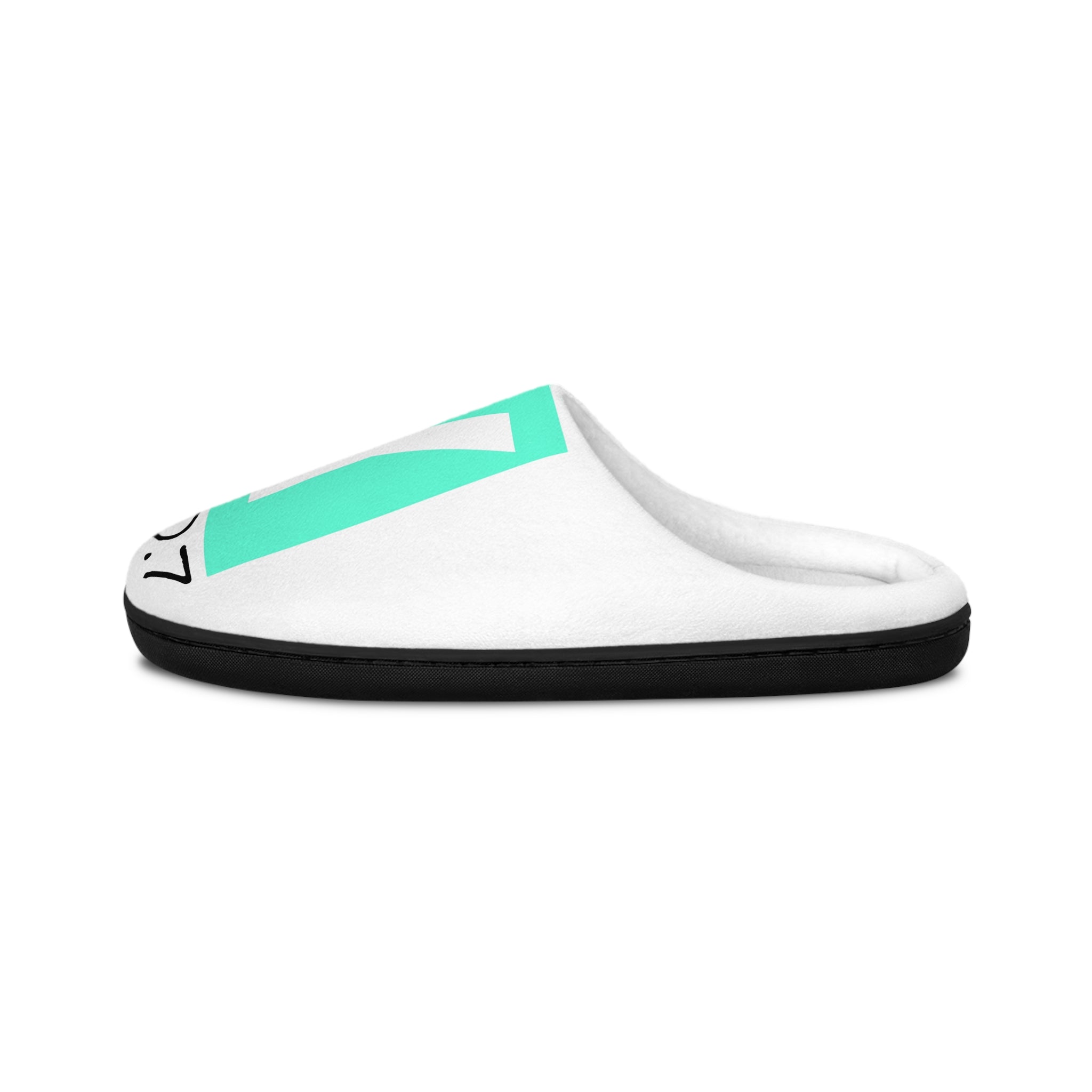 Original "Raccoon" Edition "Mint Chocolate" SeooxyGirl Slippers