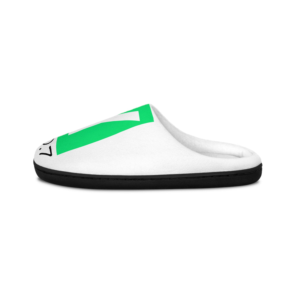 Original "Raccoon" Edition "NBA Slime" SmooveGuy Slippers